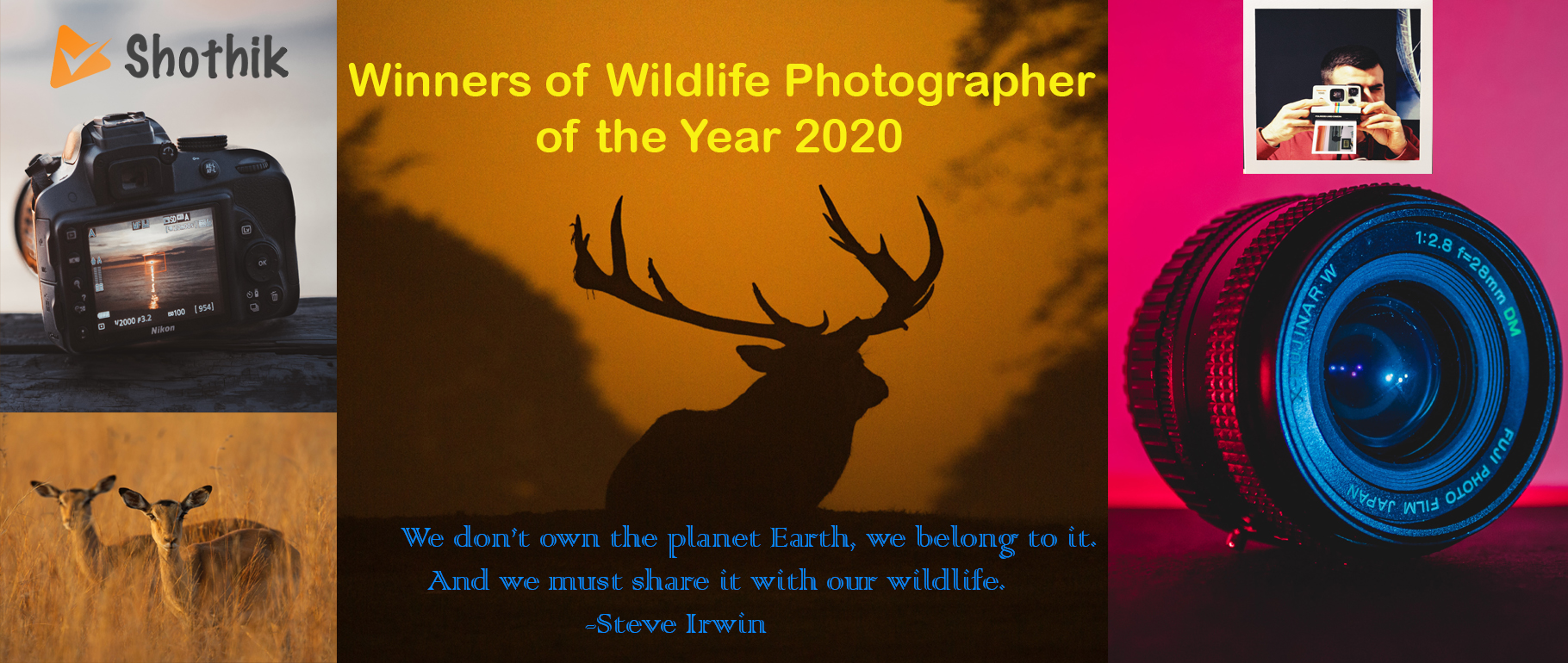 Top 6 Wildlife Photographer of the Year 2020