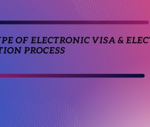 what type of electronic visa & electronic application process