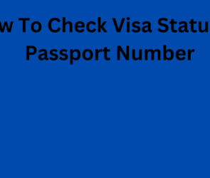 How To Check Visa Status By Passport Number