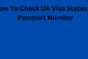 How To Check UK Visa Status By Passport Number