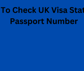 How To Check UK Visa Status By Passport Number