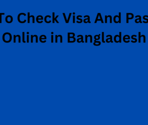 How To Check Visa And Passport Online in Bangladesh