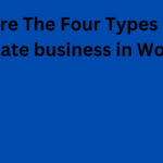 What Are The Four Types Of Real Estate business in World